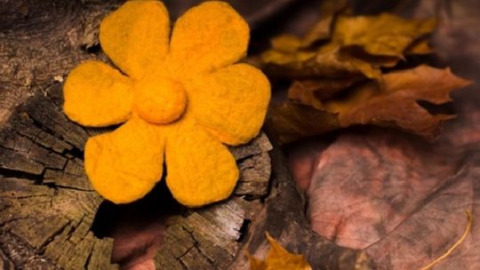 żółty filcowy kwiat na tle drewna i jesiennych liści