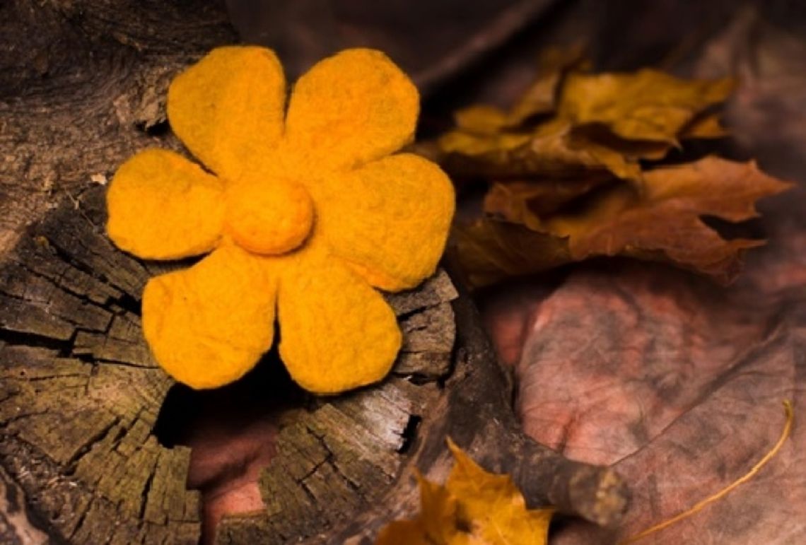 żółty filcowy kwiat na tle drewna i jesiennych liści